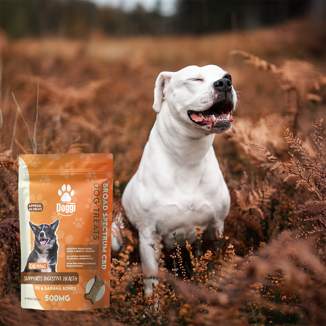 Doggi CBD PB & Banana Bones Dog Treats: Natural Digestive Support for Dogs