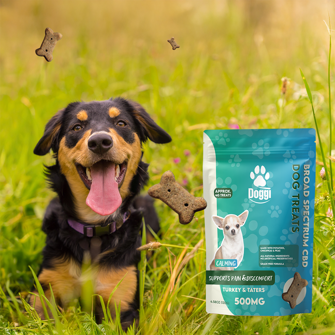 Doggi CBD Turkey & Taters Dog Treats: Natural Relief for Pain and Discomfort