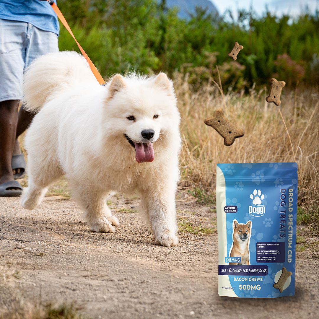 Doggi CBD Bacon Chewz Dog Treats: Soft CBD Treats for Senior Dogs