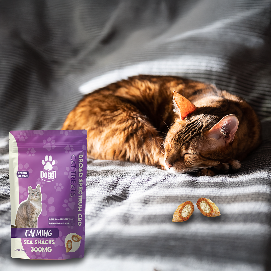 Doggi CBD Sea Snacks Cat Treats: Calming CBD for Cats