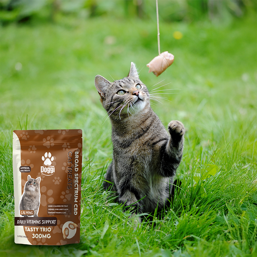 Doggi CBD Tasty Trio Cat Treats: Daily Vitamins with CBD for Cats