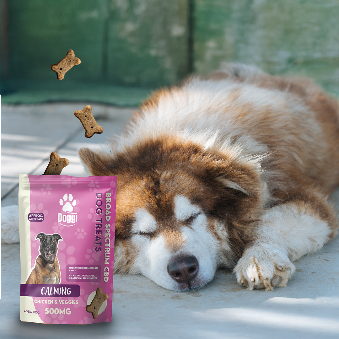 Doggi CBD Chicken & Veggies Dog Treats: Natural Calming Support for Dogs