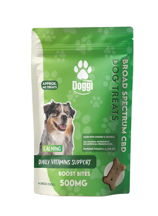 Chicken and oatmeal CBD dog treats with Vitamins A, E & B12 – 500MG broad spectrum CBD